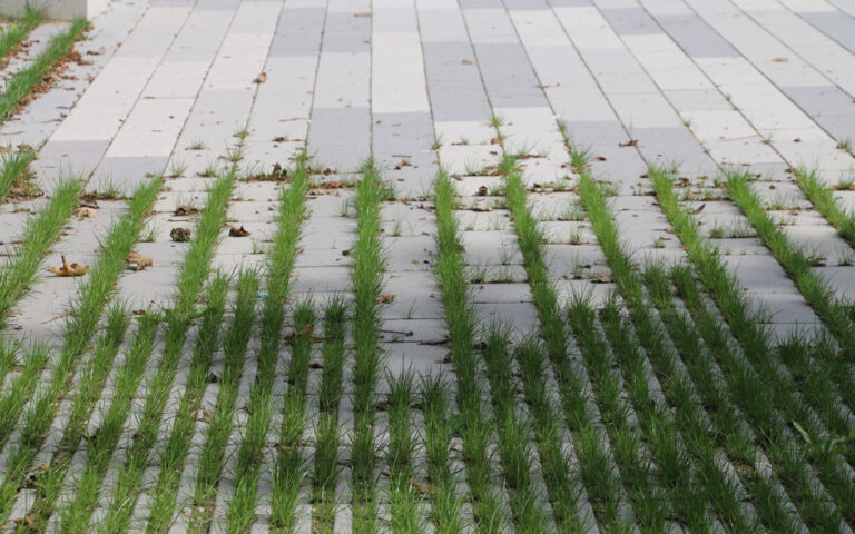 ISGY Gymnasium Ismaning