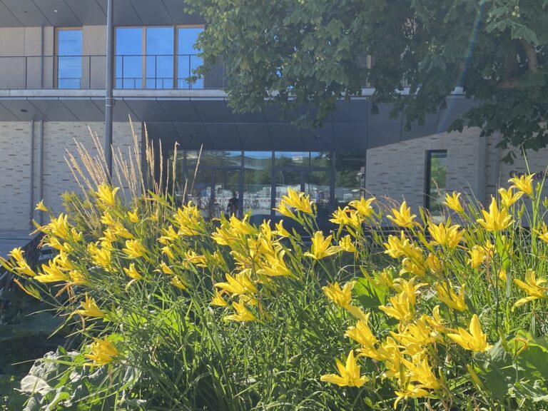 Grundschule im Werksviertel
