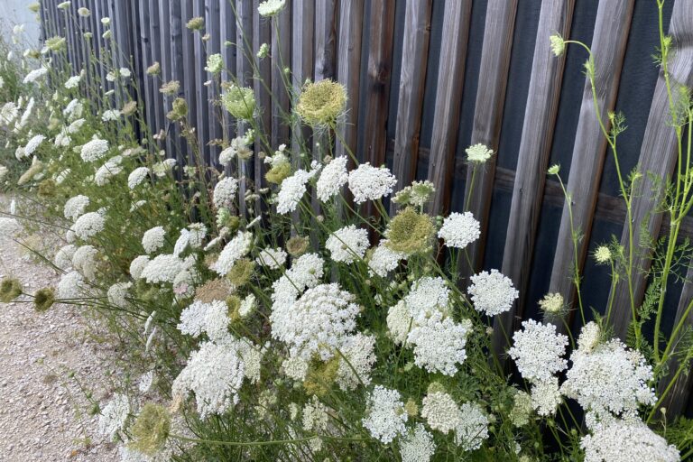 Aubachpark Burgweinting