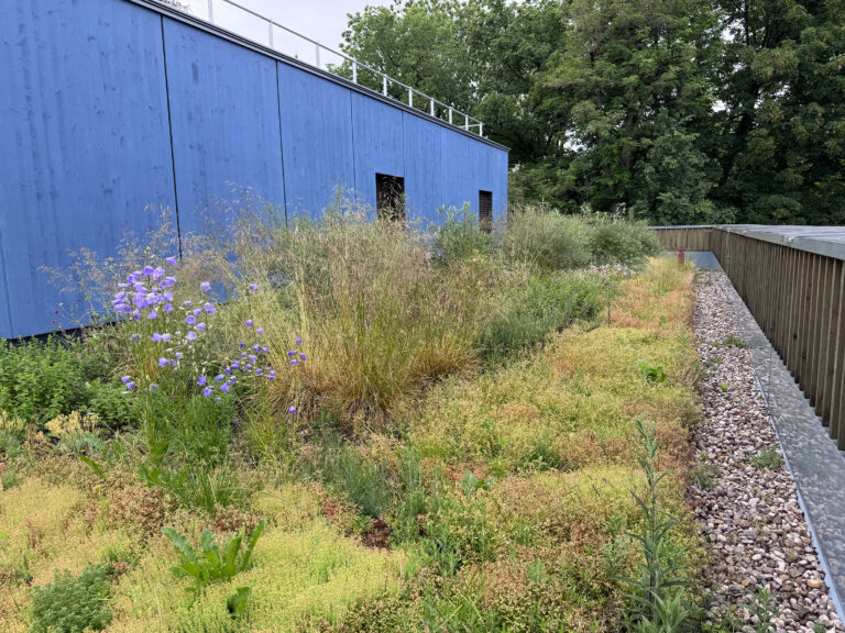 Haus für Kinder Frundsbergstraße